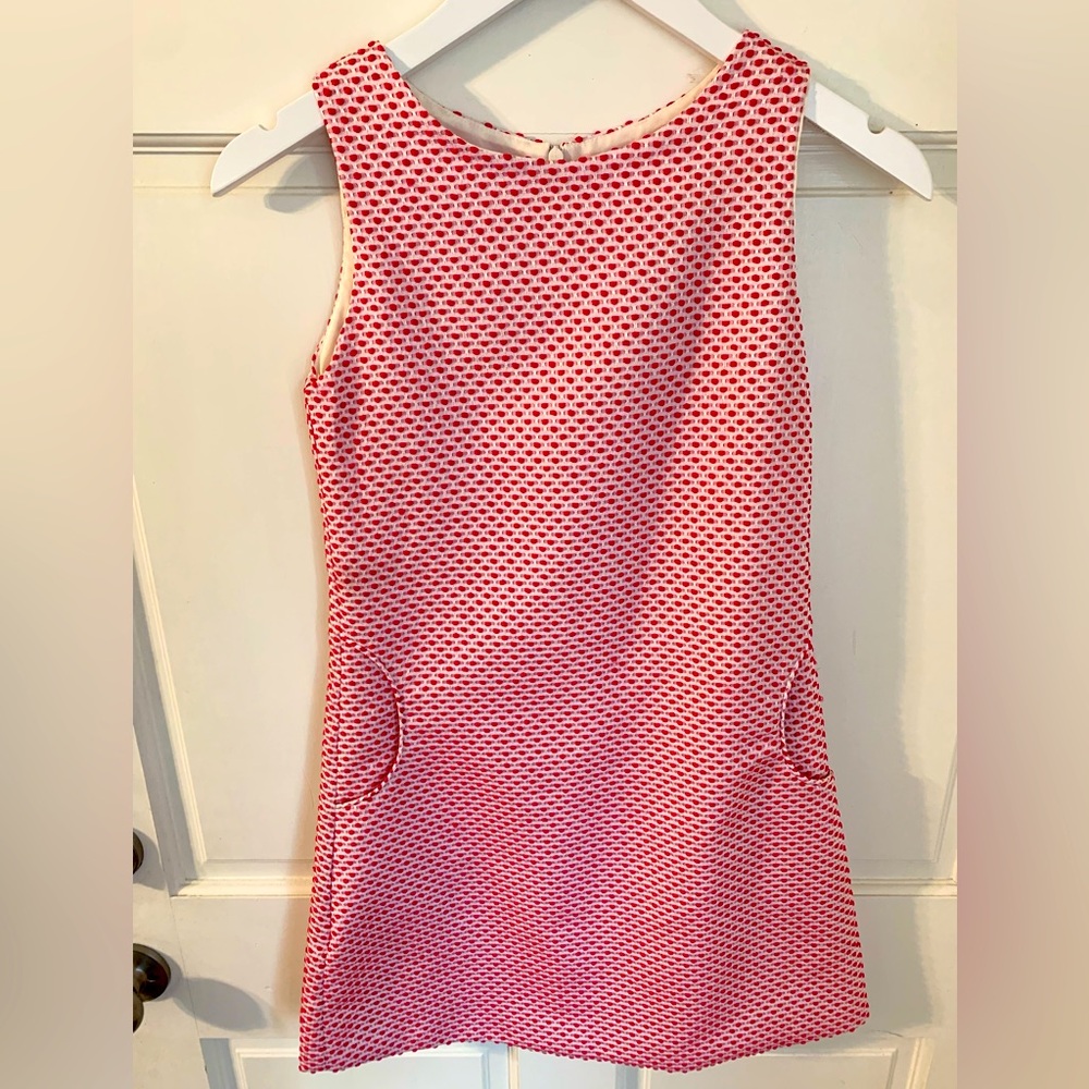 Suzanne Lively Bright Raspberry Pink Embroidered Dot Shift Dress 14